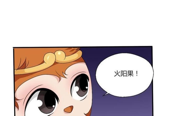 第14话 火阳果29