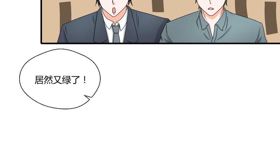 第144话 帝王绿3