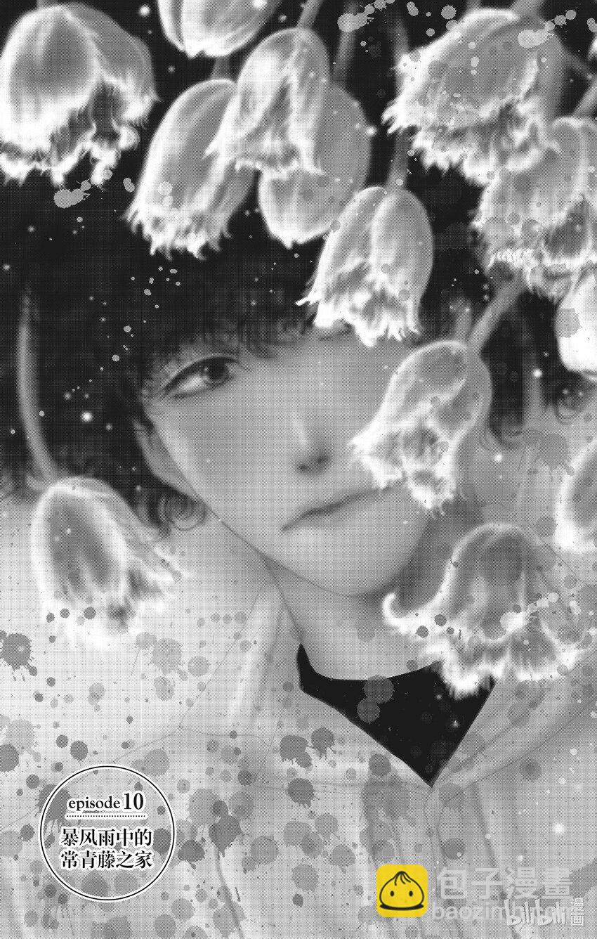 10 暴风雨中的常青藤之家3