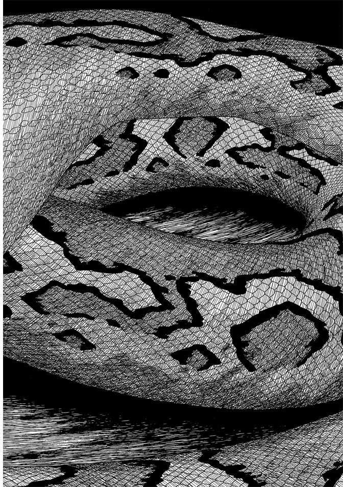 第7卷81