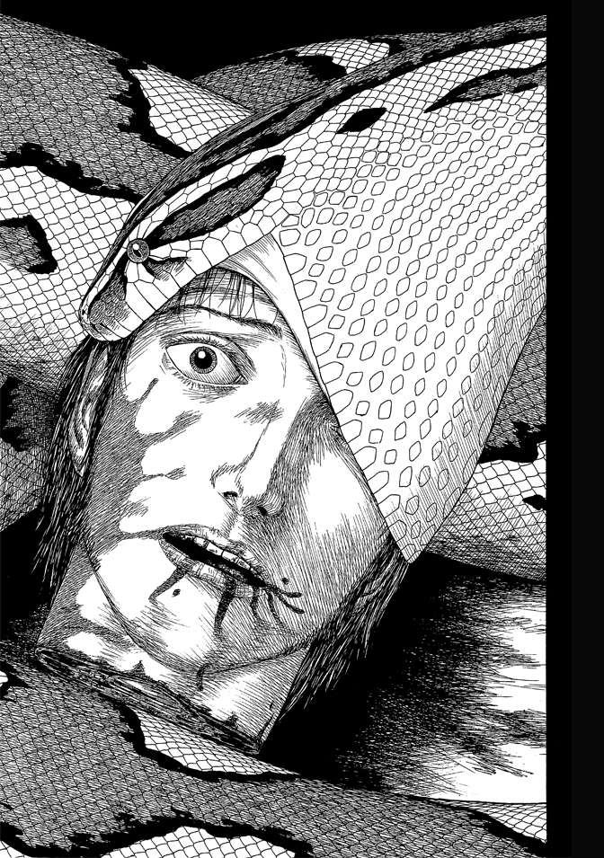 第7卷86