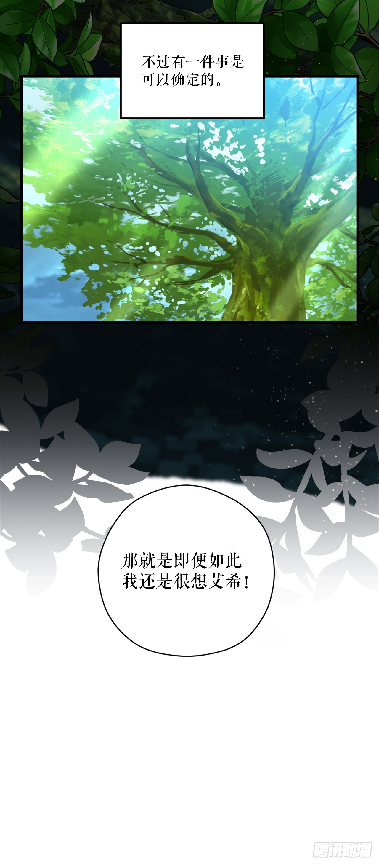 39.天秤树的由来5