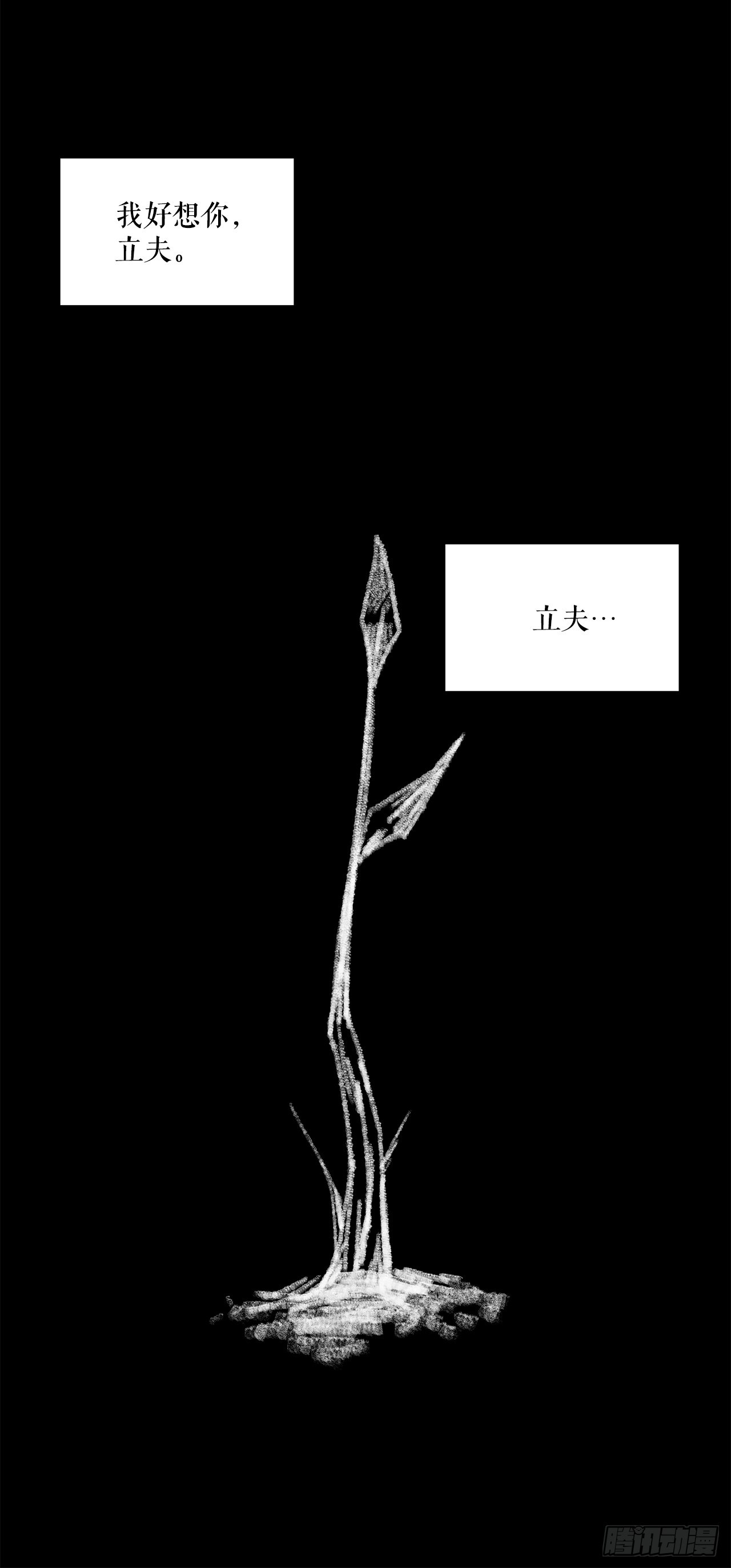 40.和树叶之龙决斗4