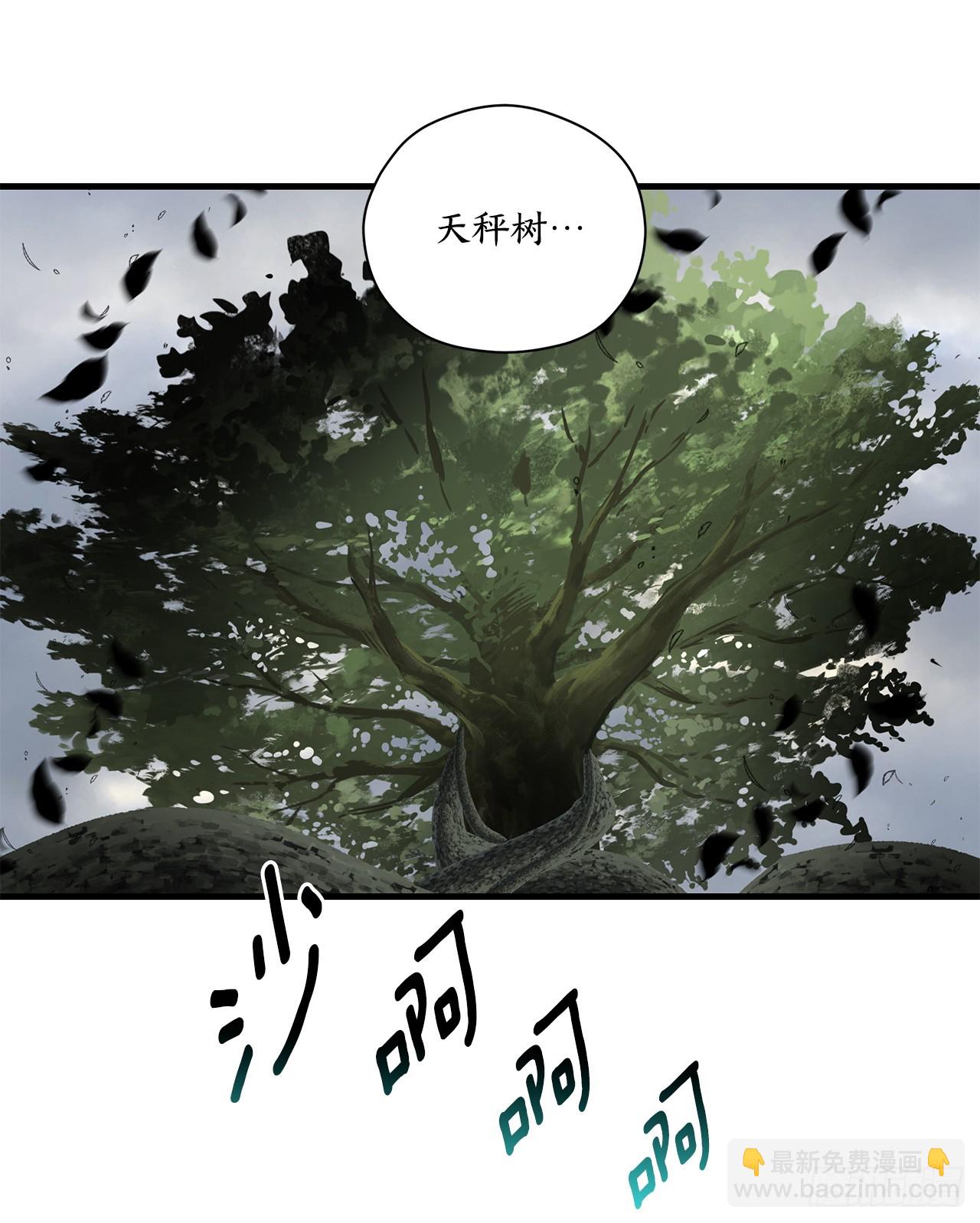 43.天秤树枯萎4