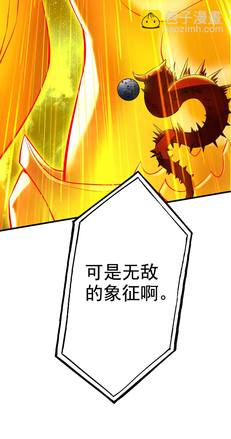 第70话 无敌的象征29