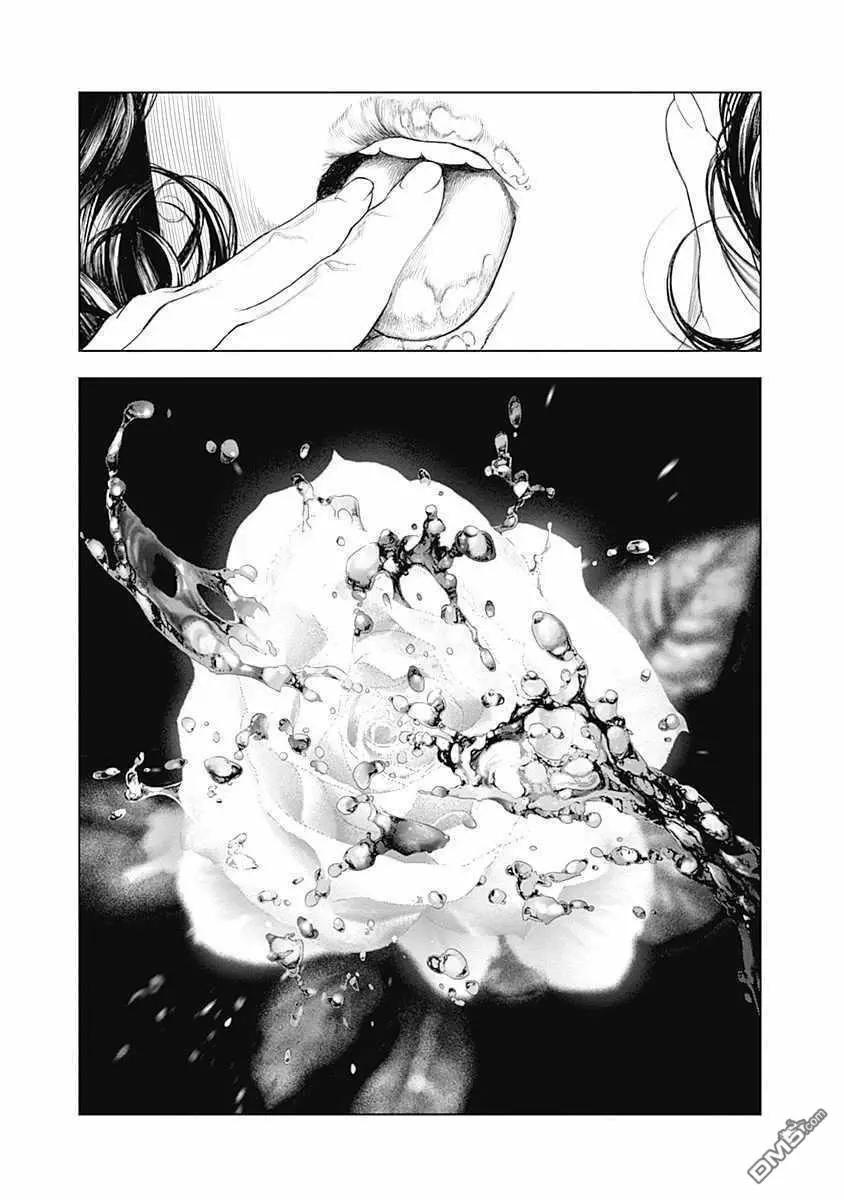 第66话 某位侯爵夫人的起诉8