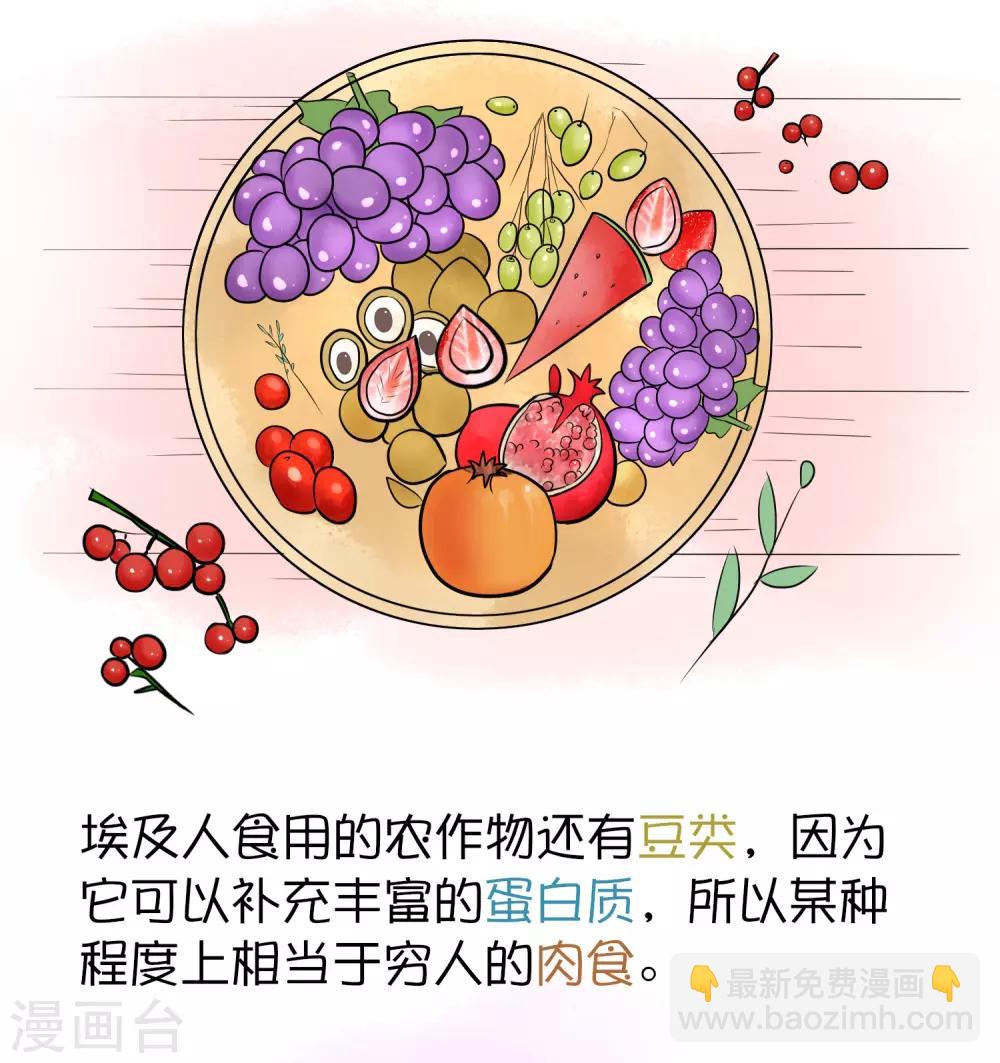 王的茶话会4 福利番外4：古埃及是否有“满汉全席”？2