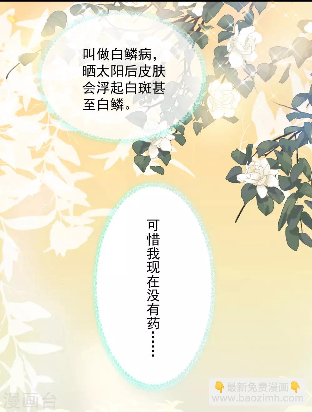 第19话 两个稀有发色就该在一起？14