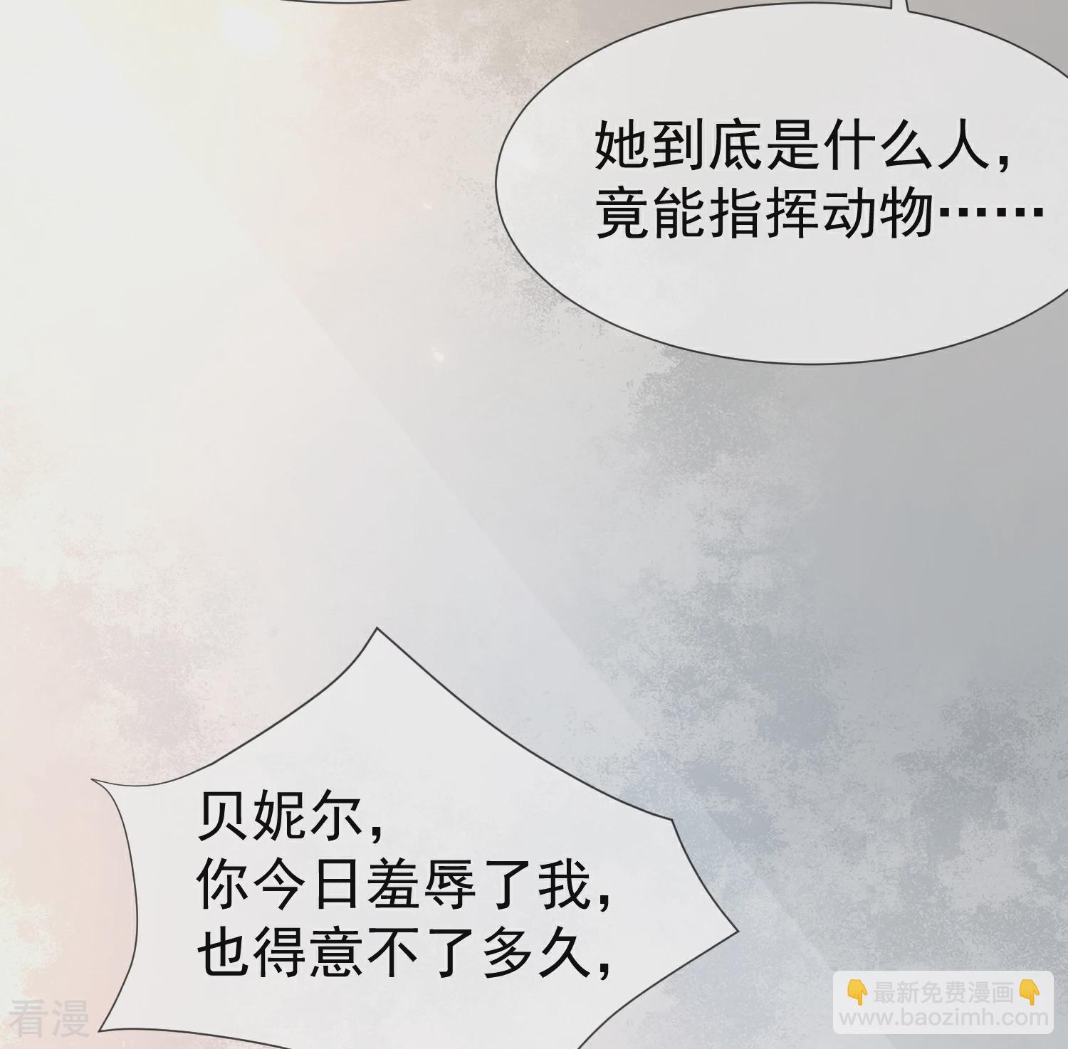 第36话 我的宠物都能吊打你11