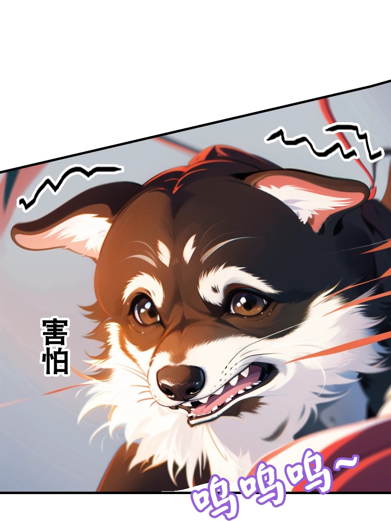 第193话 新计划开始23