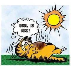 星期一加菲不离开床10