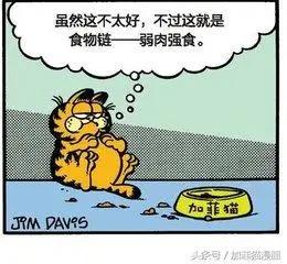 星期一加菲不离开床13