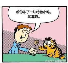 星期一加菲不离开床19