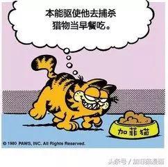 星期一加菲不离开床24