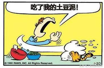 星期一加菲不离开床8