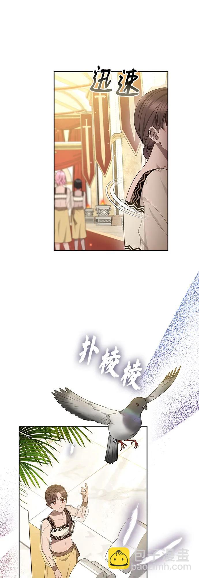 第43话41