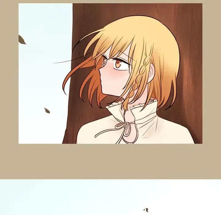3244