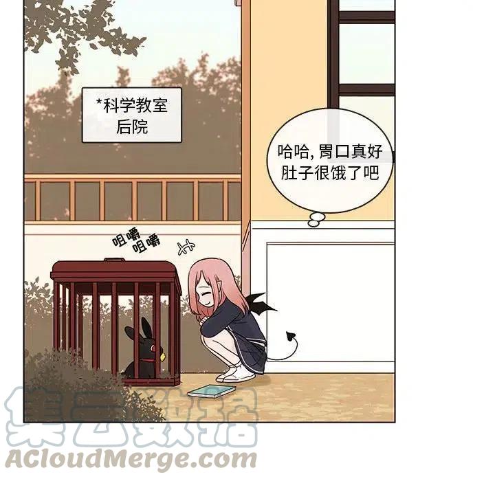 4064