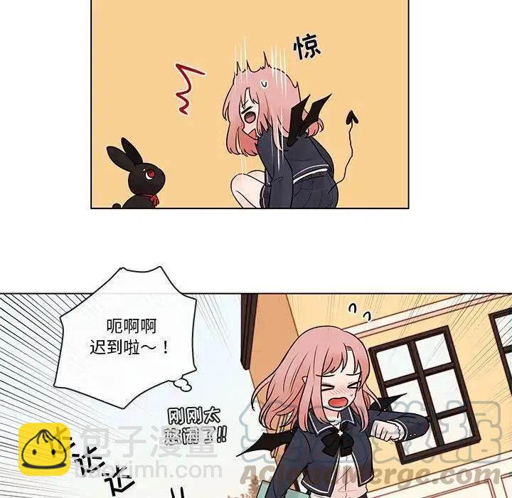 4067
