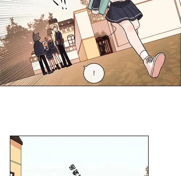 4068