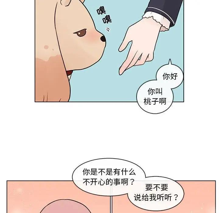 4234