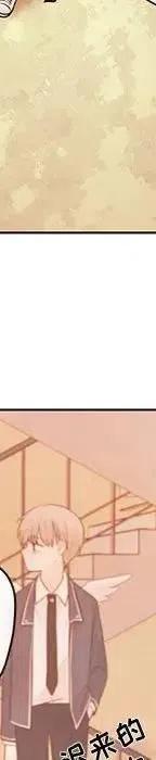 47254