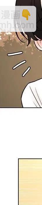 48133