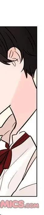 48181