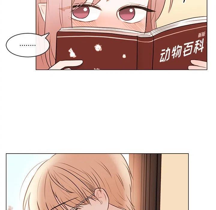 8066