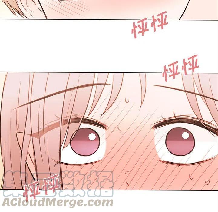 816