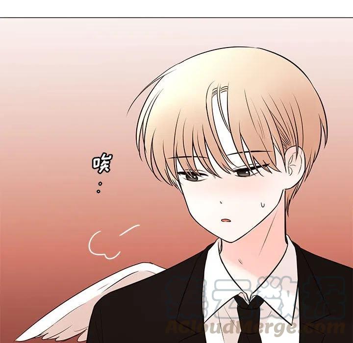 84116