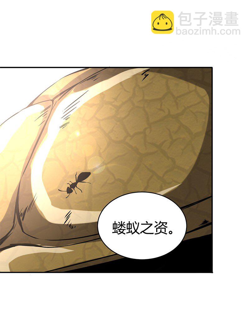 12 天赋异禀28