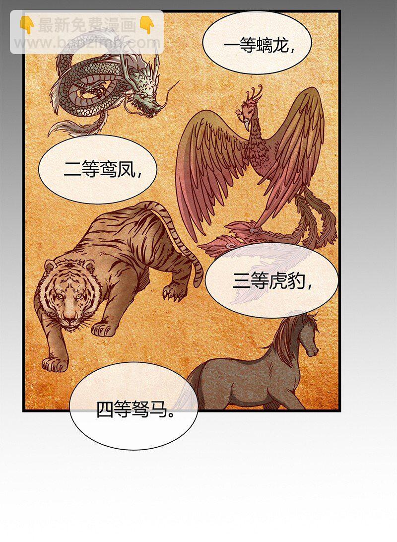 12 天赋异禀5