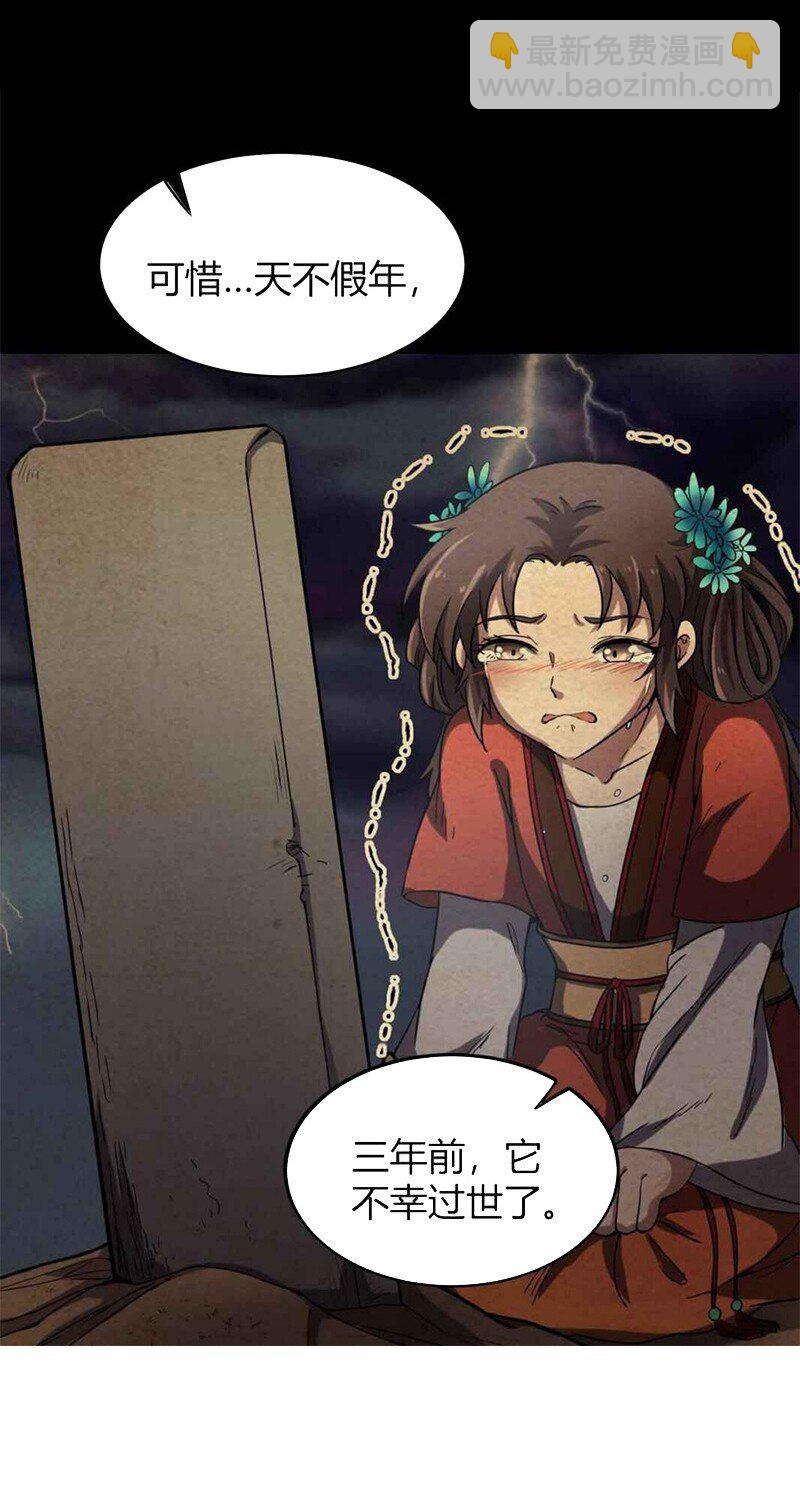 17 约定5