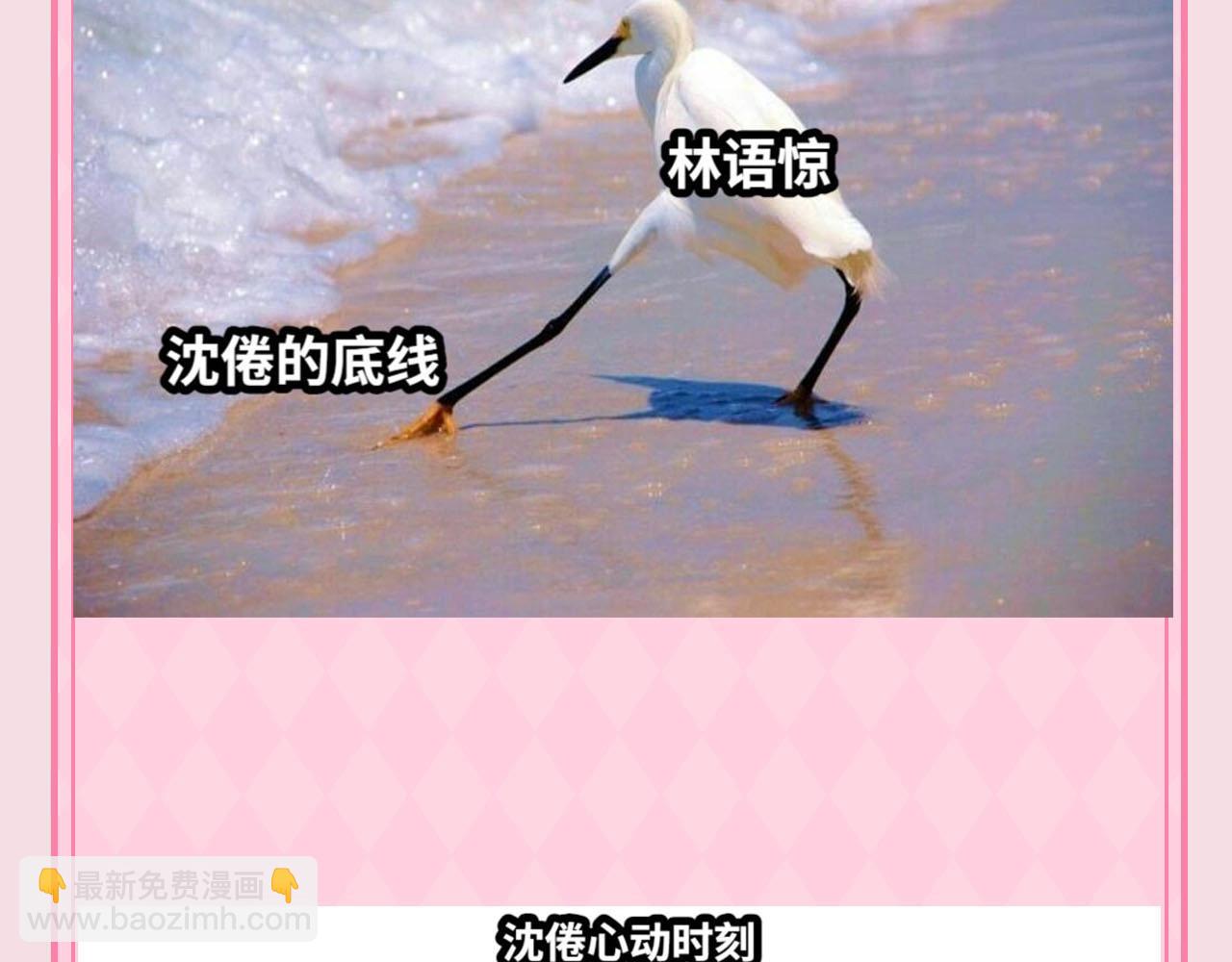 第48期 梗图合集（日更中）3