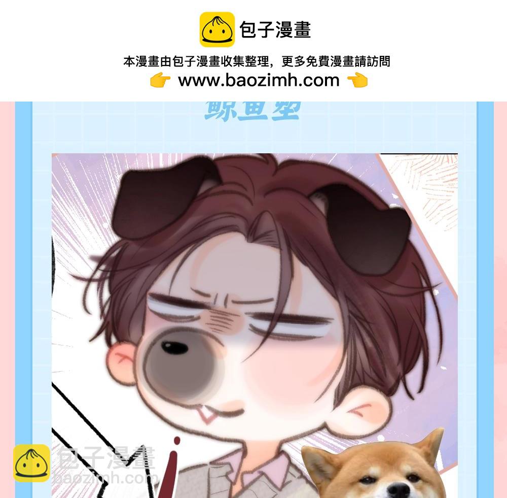 第85期 特别企划：全员动物塑来啦~4