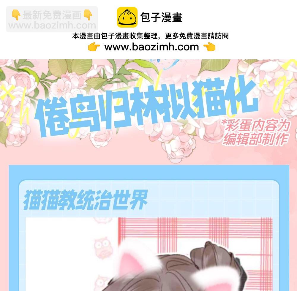第121期 特别企划：倦鸟归林拟猫化1