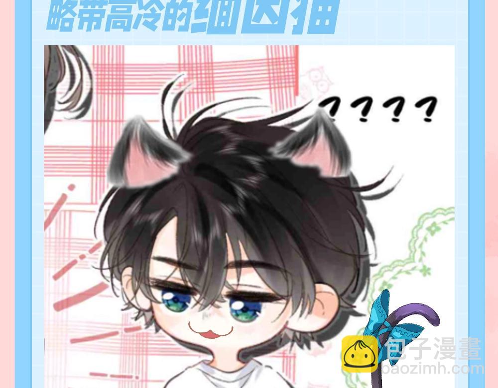 第121期 特别企划：倦鸟归林拟猫化4