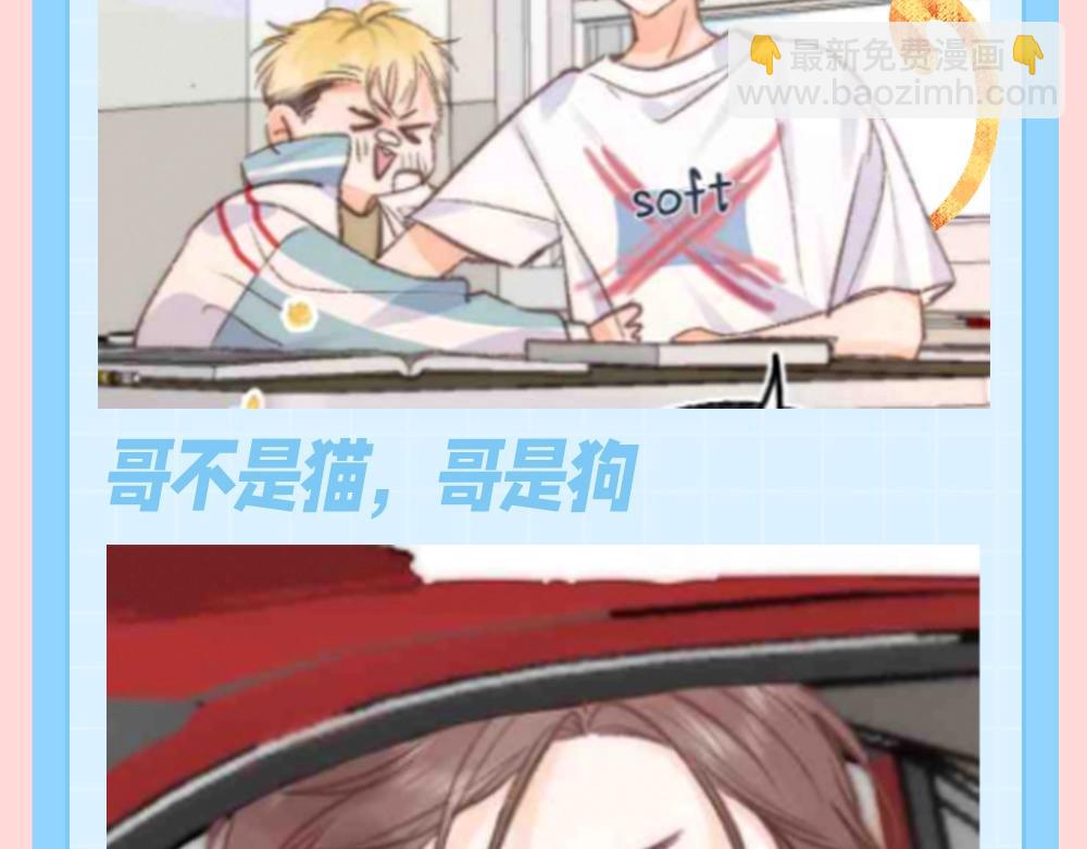 第121期 特别企划：倦鸟归林拟猫化7