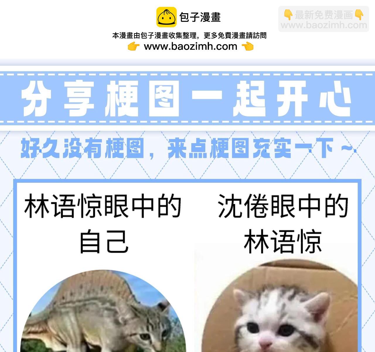 第147期 整活企划：分享梗图一起开心1