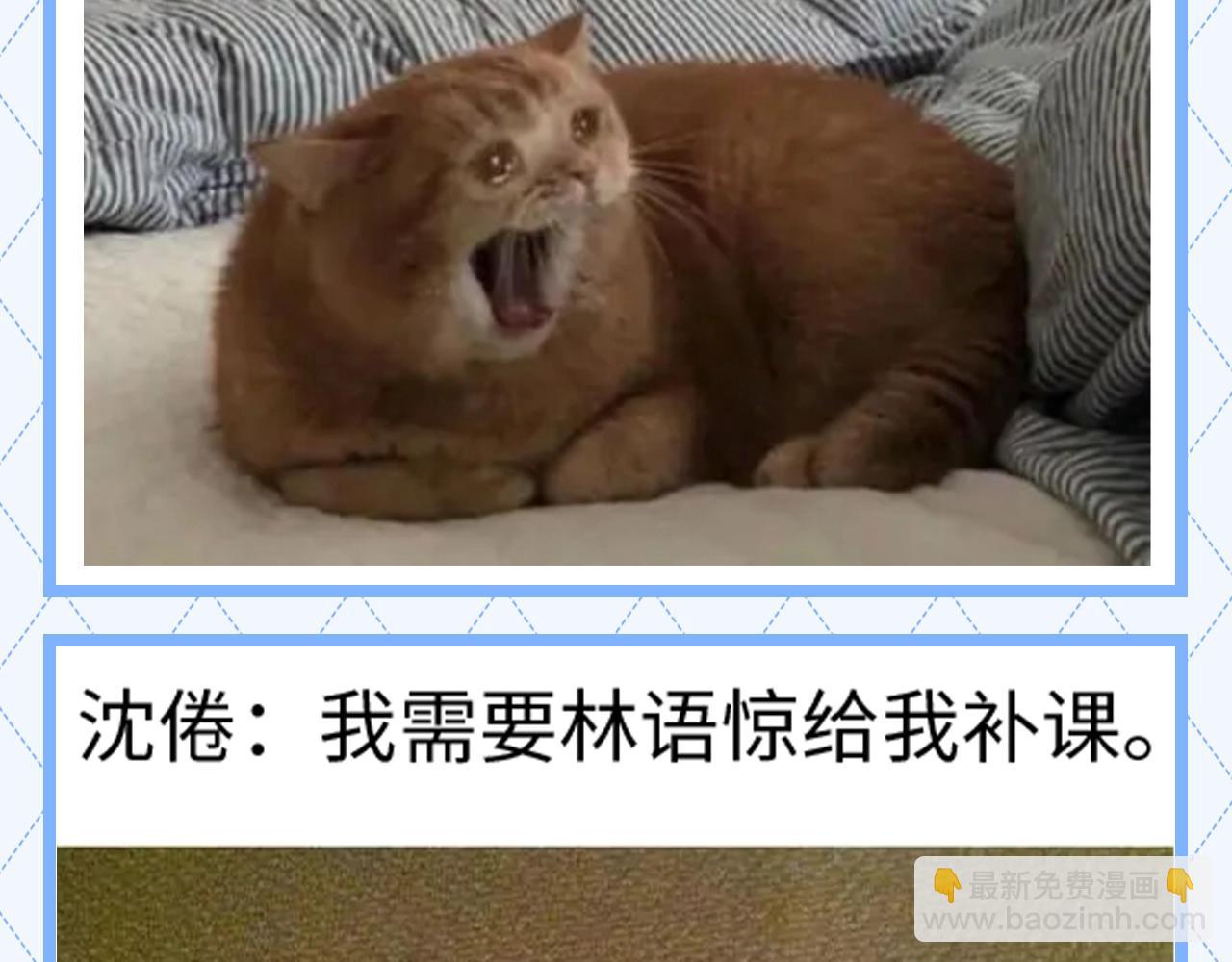 第147期 整活企划：分享梗图一起开心4