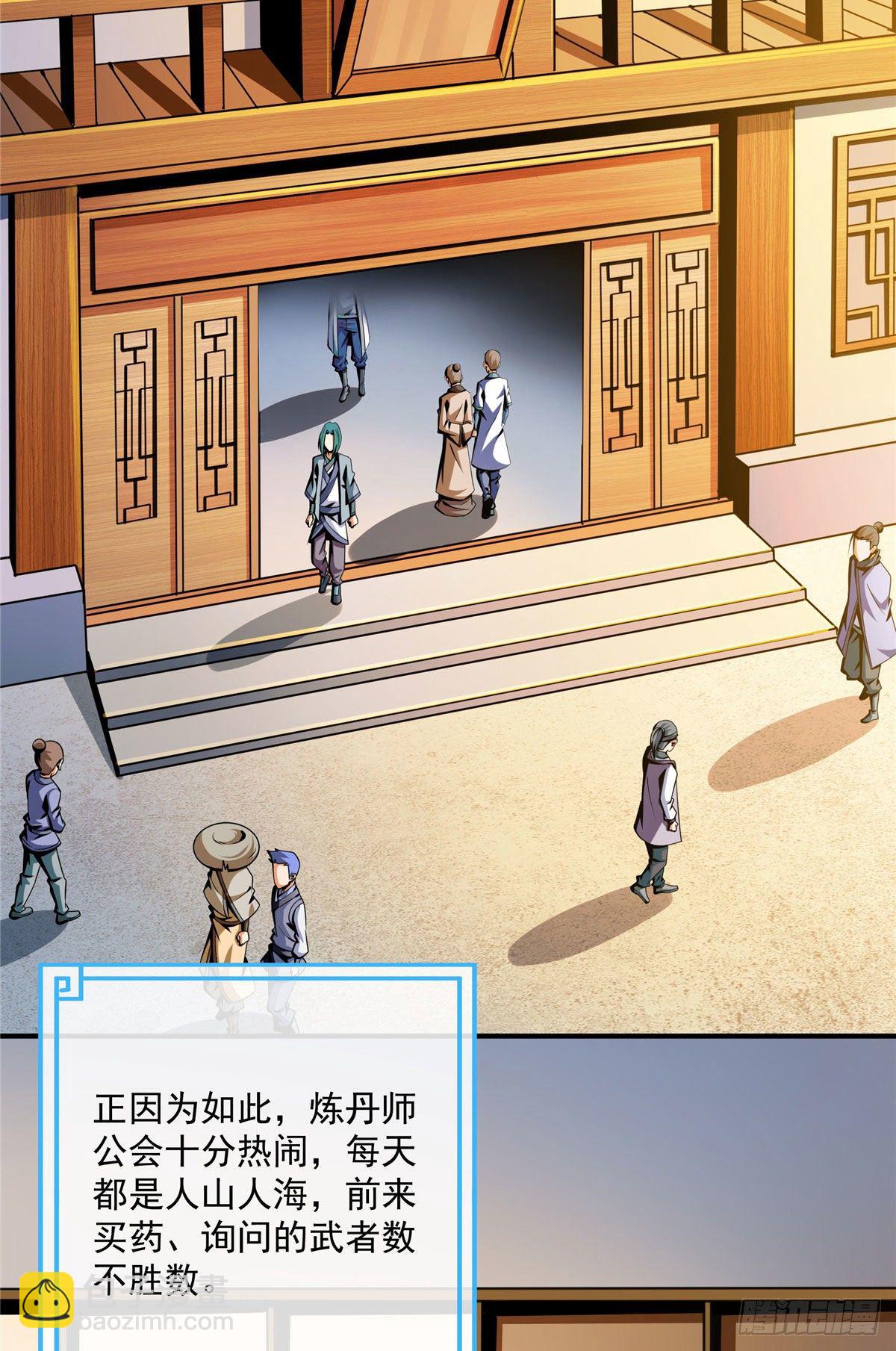 55 炼丹师公会24