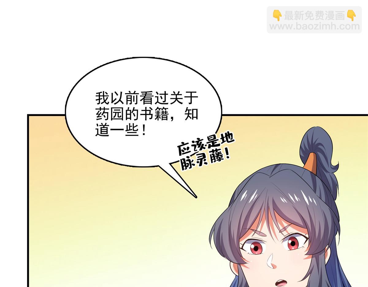 第293话 地脉灵藤42