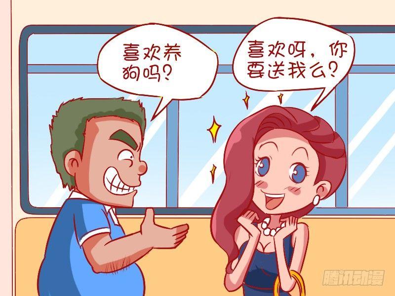 484-高逼格宠物1