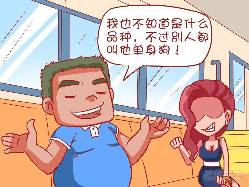 484-高逼格宠物3