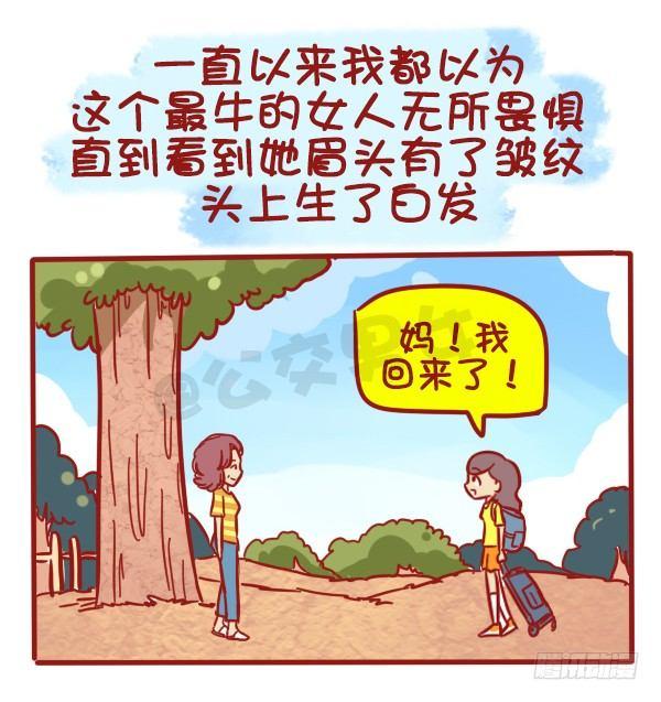 487-女神我爱礼8
