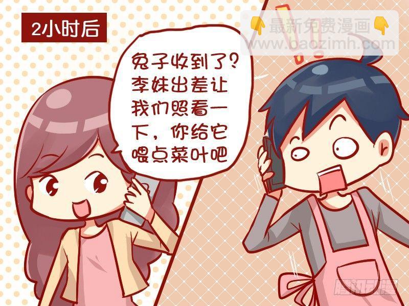 946-可爱兔兔3
