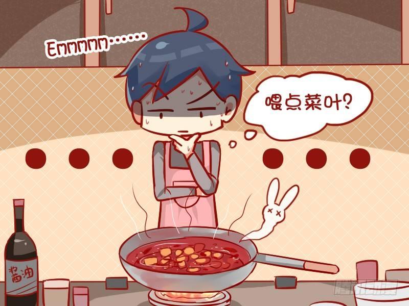 946-可爱兔兔4