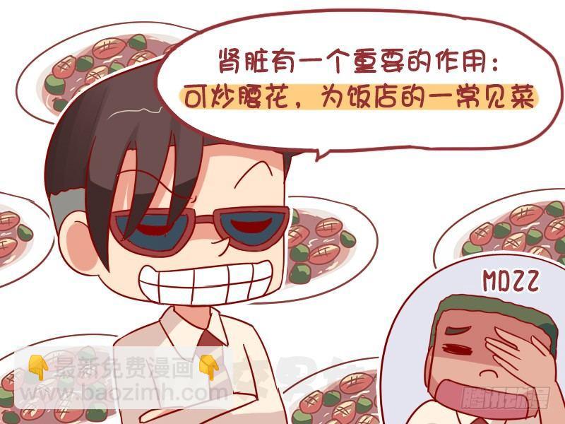 1021-肾脏的作用4