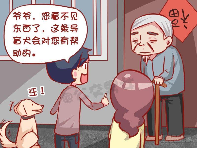 1022-导盲犬3